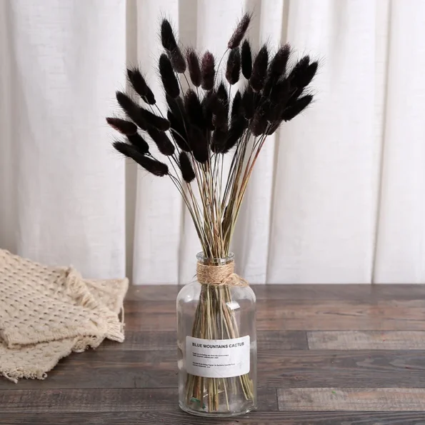 Lot-de-10-fleurs-naturelles-s-ch-es-de-Lagurus-ovale-Bouquet-de-queues-de-lapin