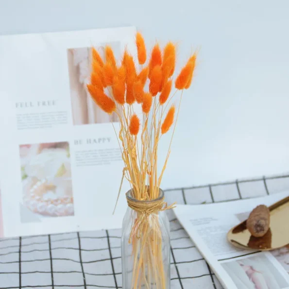 Lot-de-10-fleurs-naturelles-s-ch-es-de-Lagurus-ovale-Bouquet-de-queues-de-lapin.jpg_640x640