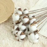 kf-H9e6f052ed3c94e288aa219931d2b3ced3-Fleur-de-coton-s-ch-e-naturelle-pour-la-d-coration-de-la-maison-branche-de
