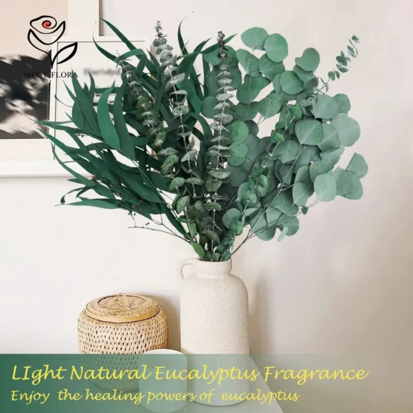 kf-Sae62d5de2ac840b9bcda6aeeb5beefefU-Branches-de-plantes-d-eucalyptus-s-ch-es-feuilles-d-eucalyptus-naturelles-et-fra-ches-bouquet