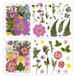 kf-Se749ddb221de4789844b5fe14cdf82eej-Autocollants-de-fleurs-s-ch-es-pour-coque-de-t-l-phone-1-sachet-DIY-PMurcia