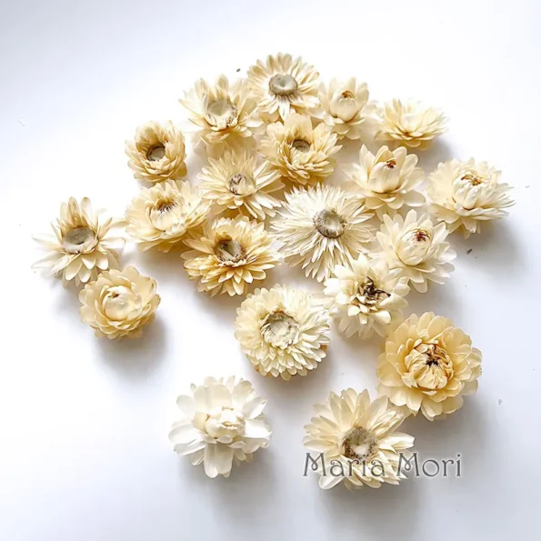 kf-Sb7a197d411714323987b287ca745877aW-Couronne-de-chrysanth-me-color-e-s-ch-e-naturelle-accessoires-pour-cheveux-faits-la-main