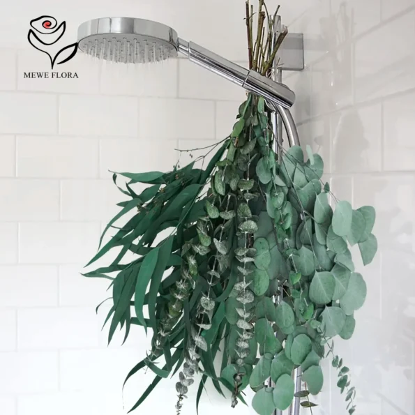 kf-Sd2c2458b87364007a86d438e9d218ab9i-Branches-de-plantes-d-eucalyptus-s-ch-es-feuilles-d-eucalyptus-naturelles-et-fra-ches-bouquet