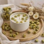 Boutons de chrysanthème séchés