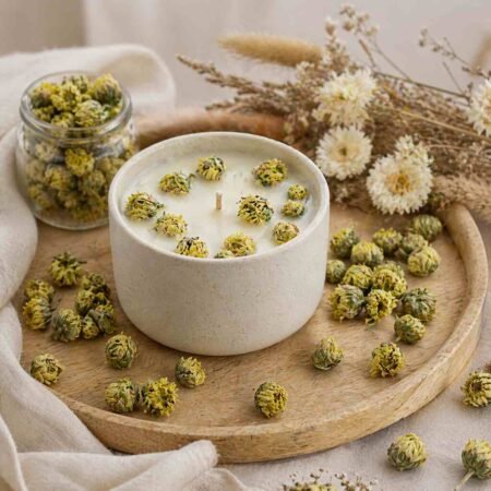 Boutons de chrysanthème séchés