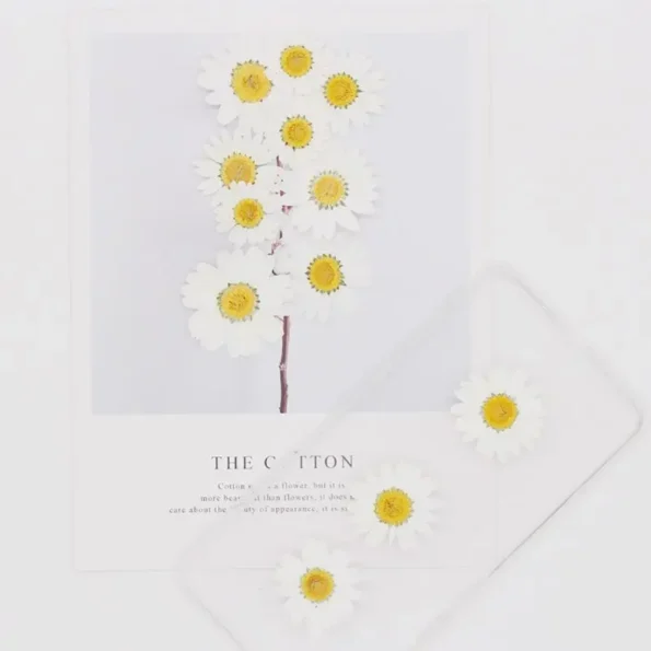 kf-H831ad5ad56484ffcb02f81a7fb98a2bdA