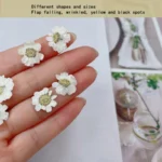 Petite marguerite pressée séchée