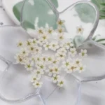 kf-S5960443a69f24ecf9ff599389ffcd427j