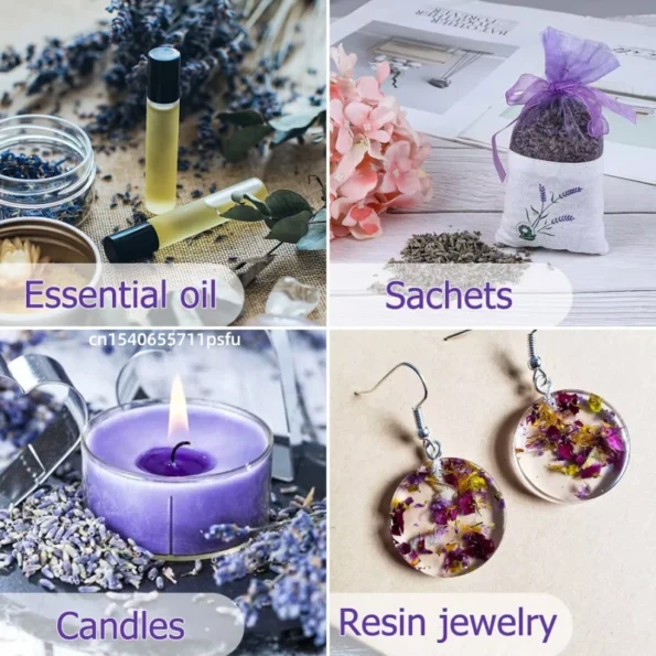 kf-S0552ac39a7a9436ea4ffd539c7a6939am