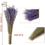 kf-Sce6e5979218a4257ae3c3b202442d896f