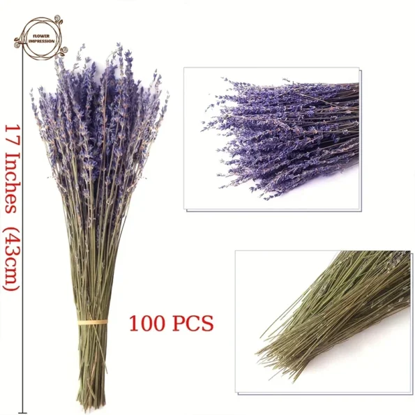 kf-S09b115e3aca747cabe68eb53a9ede24f9