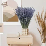 kf-Sce6e5979218a4257ae3c3b202442d896f