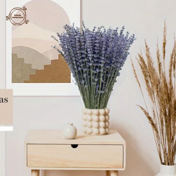 kf-S16a7888888604382b566f55970079e61K