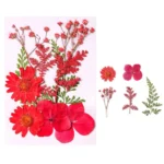 Fleurs pressées naturelles scrapbooking