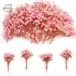 kf-S37db99f8c6b24c418b7f6e0c4c6a1792o