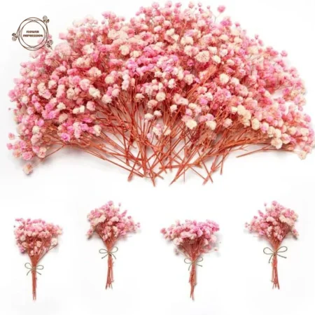Bouquet de mini fleurs séchées gypsophile rose naturelles