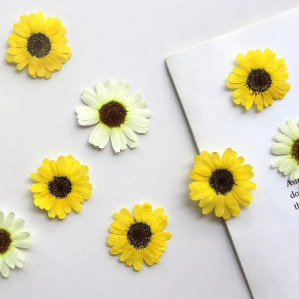 kf-S3dda4636783b4b17b7715e938e76f41aU