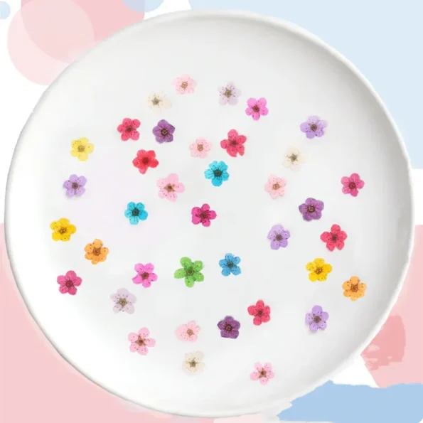 kf-S43be4735ea85444b8c32d240736d2e7fZ