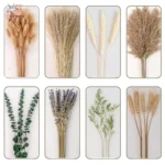 kf-Sf1b204898902426eae8d7df69b94e6ebW