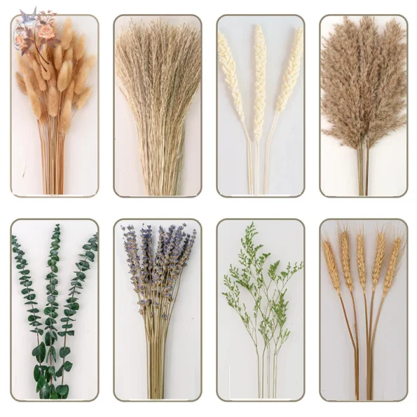 kf-S51cd412257f5465e987fa389f14d1d31i