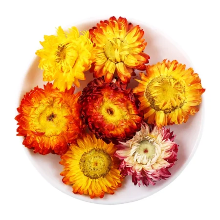 Immortelle séchée