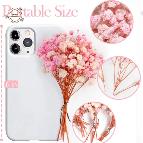 kf-S791cf33e64e04f03a45c15fbca0a58e4R