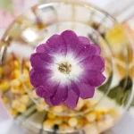 Rose chinoise pressée séchée