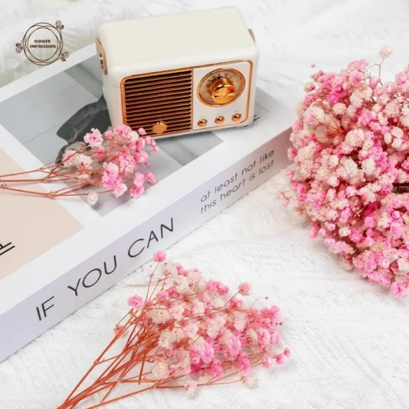 kf-S86b462a88ede4e73a97226d4437e49f5k