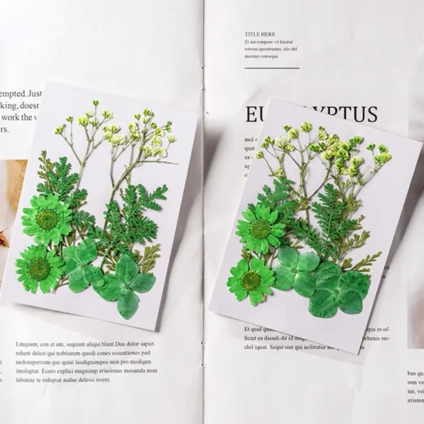 kf-S9bfb64f70711426eac72aeeed0520c2et