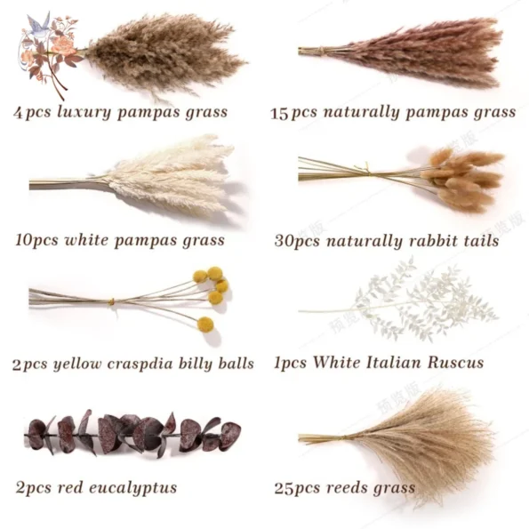 kf-Sa55f80b606e846eea4d786af6a981a90p