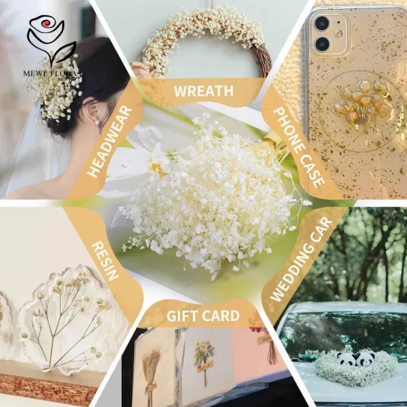 kf-Sa94d3bfa1d6246bca7014a11434db44cV