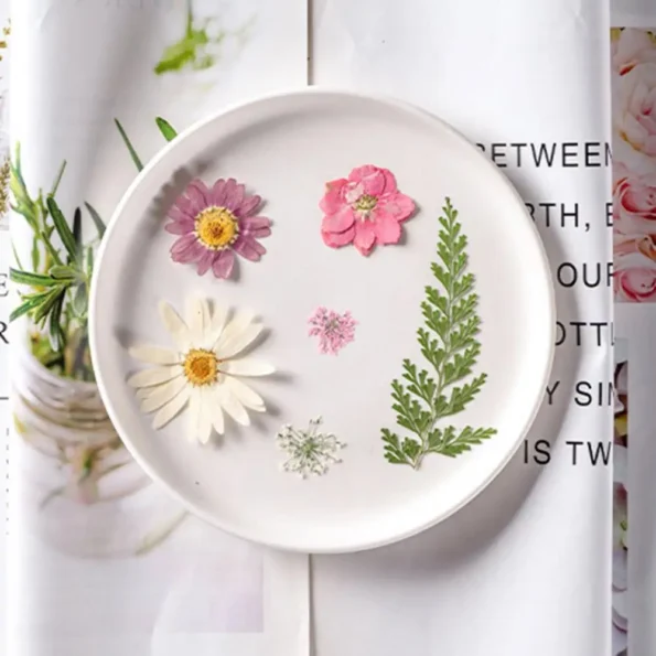 Fleurs pressées naturelles scrapbooking