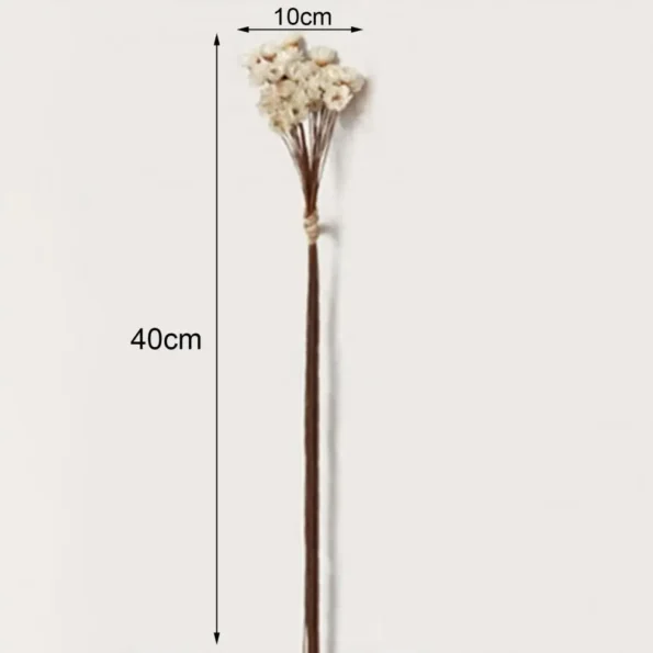 kf-Sb7563439dd1e4112a061ea87a7e319ddz-Fleurs-s-ch-es-de-gypsophile-pour-la-d-coration-de-mariage-fleurs-de-gypsophile-vives