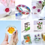 Fleur de camomille séchée