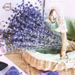 kf-Sce6e5979218a4257ae3c3b202442d896f