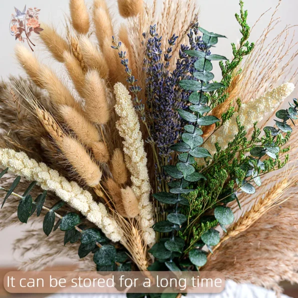 kf-Sdd5d0484c8a5470b9d76dfa39efdd07aY