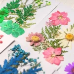 Fleurs pressées naturelles scrapbooking