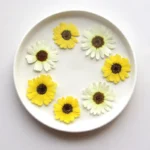 kf-Sc81a50ad2b7f4614992ccb070f531f37w