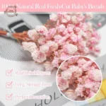 kf-S37db99f8c6b24c418b7f6e0c4c6a1792o