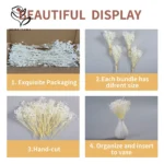 kf-S39cd5445d36f4b6ea7da94a7559bba23k