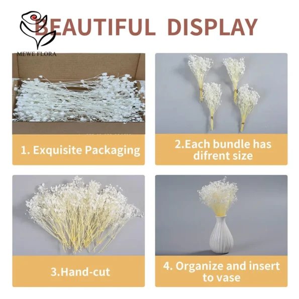 kf-Sf50197559dad4da08dcbcb9998609225Z