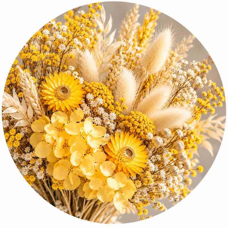 Fleurs séchées jaunes