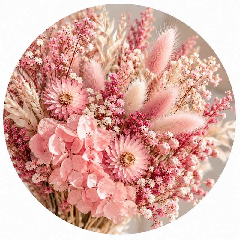 Fleurs séchées roses
