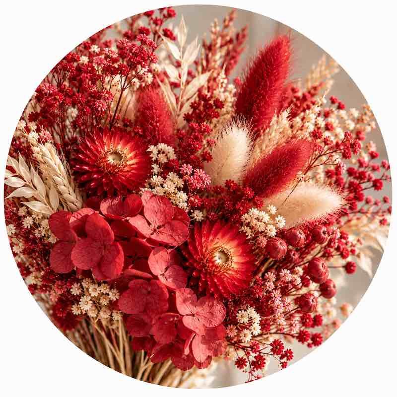 Fleurs séchées rouges