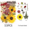 set3-53pcs