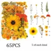 set9-65pcs