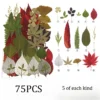 set8-75pcs