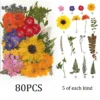 set6-80pcs