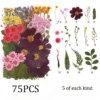 set10-75pcs