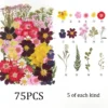 set7-75pcs